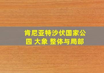 肯尼亚特沙伏国家公园 大象 整体与局部